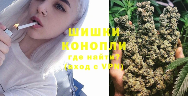 твердый Нягань