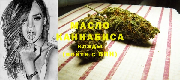 дмт Няндома