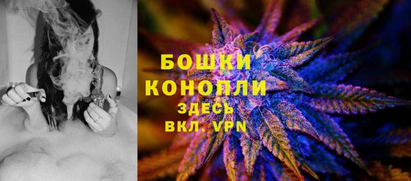 твердый Нягань