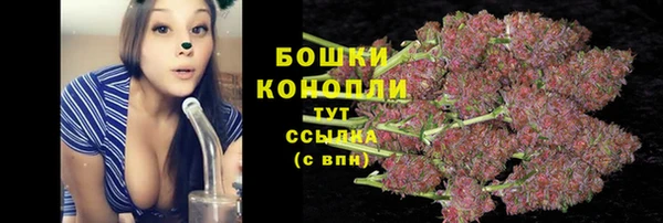 твердый Нягань